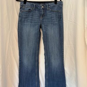 Banana Republic Blue Flare Wide Leg Jeans